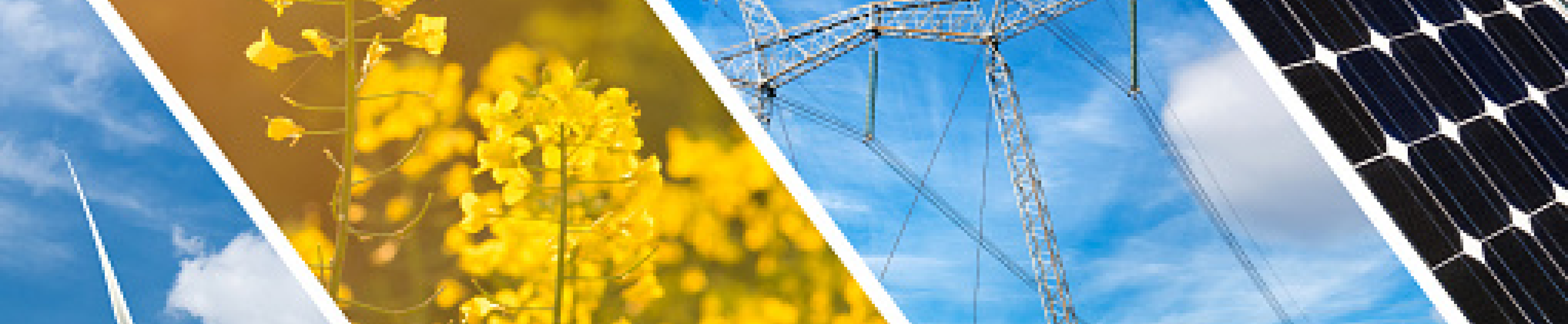 energy fund